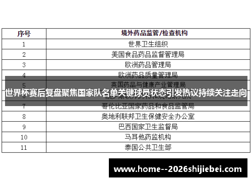 世界杯赛后复盘聚焦国家队名单关键球员状态引发热议持续关注走向