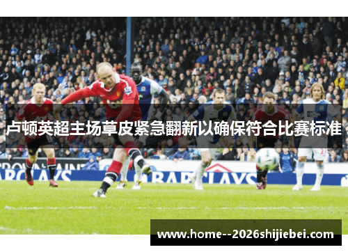 卢顿英超主场草皮紧急翻新以确保符合比赛标准